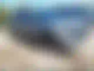 Vehicle Image- 2023 Kia Sportage