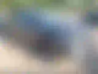 Vehicle Image- 2024 Kia Sportage