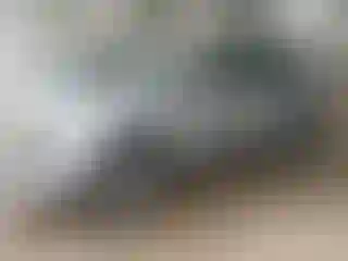 Vehicle Image- 2023 Kia Sportage