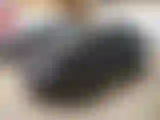 Vehicle Image- 2023 Kia Sportage