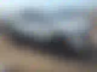 Vehicle Image- 2024 Kia Sportage