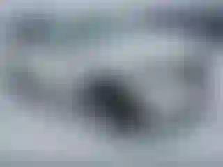 Vehicle Image- 2022 Kia Sorento