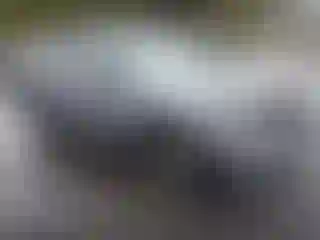 Vehicle Image- 2023 Kia Sorento