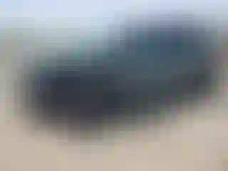 Vehicle Image- 2025 Kia Sorento