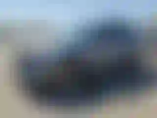 Vehicle Image- 2023 Kia Sorento