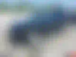 Vehicle Image- 2020 Nissan Rogue