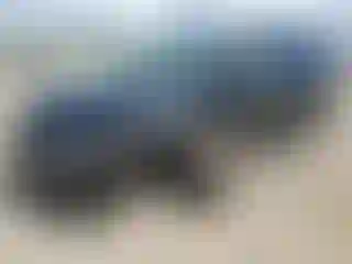 Vehicle Image- 2020 Nissan Rogue