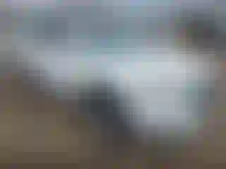 Vehicle Image- 2017 Nissan Rogue