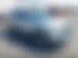 Vehicle Image- 2019 Nissan Rogue