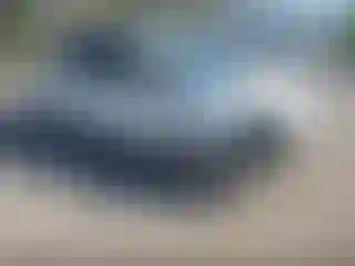 Vehicle Image- 2018 Ford ECOSPORT