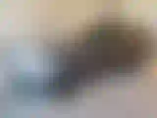 Vehicle Image- 2021 Ford ECOSPORT