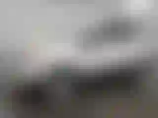 Vehicle Image- 2021 Ford ECOSPORT