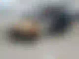 Vehicle Image- 2021 Ford ECOSPORT