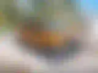 Vehicle Image- 2022 Ford ECOSPORT