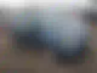 Vehicle Image- 2022 Ford ECOSPORT