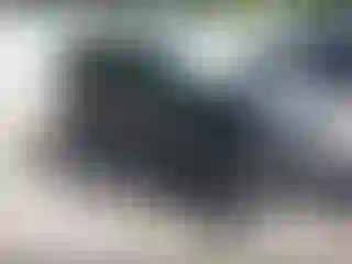 Vehicle Image- 2020 Ford ECOSPORT