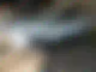 Vehicle Image- 2020 Ford ECOSPORT