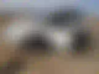 Vehicle Image- 2019 Ford ECOSPORT