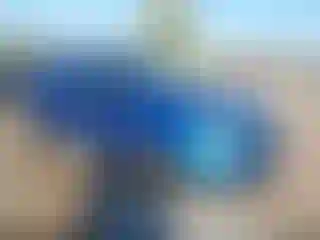 Vehicle Image- 2021 Ford ECOSPORT