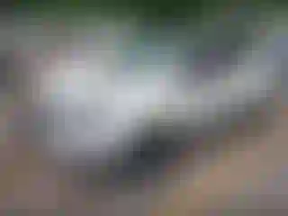 IMPORTOWO.pl