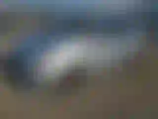Vehicle Image- 2021 Mitsubishi Mirage