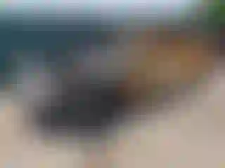 Vehicle Image- 2025 Acura MDX