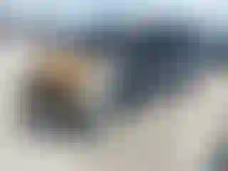 Vehicle Image- 2020 Ford Transit