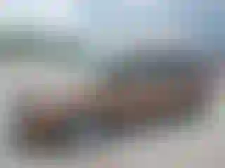 Vehicle Image- 2014 Ford Transit