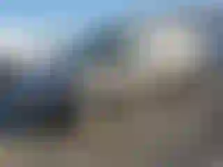 Vehicle Image- 2020 Ford Transit