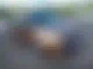 Vehicle Image- 2014 Ford Transit