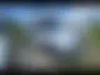 Vehicle Image- 2011 Ford Transit