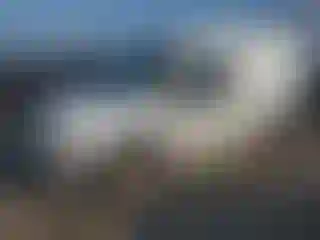Vehicle Image- 2012 Ford Transit