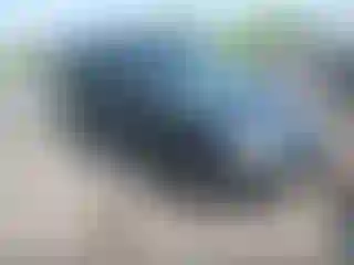 Vehicle Image- 2013 Ford Transit