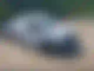 Vehicle Image- 2010 Ford Transit
