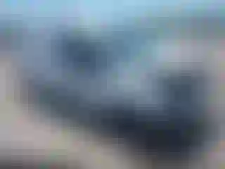 Vehicle Image- 2020 Ford Transit