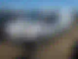 Vehicle Image- 2019 Ford Transit