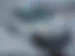 Vehicle Image- 2021 Ford Transit