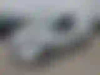 Vehicle Image- 2020 Ford Transit