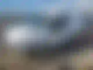 Vehicle Image- 2022 Ford Transit