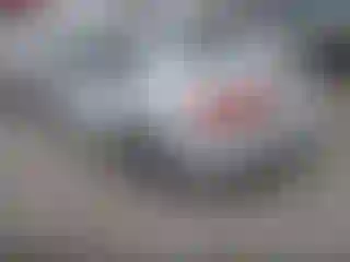 IMPORTOWO.pl