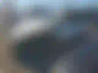 Vehicle Image- 1997 Jaguar XK8