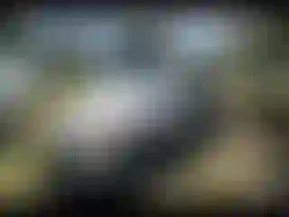 IMPORTOWO.pl