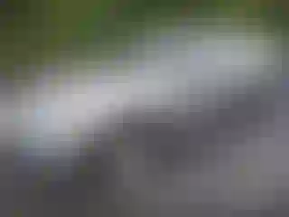 IMPORTOWO.pl