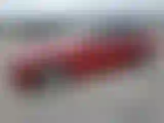 IMPORTOWO.pl