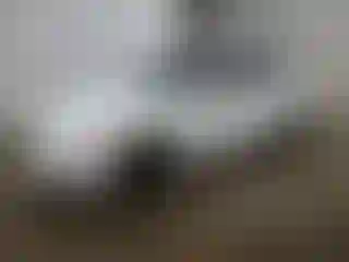 Vehicle Image- 2011 Jaguar XJ