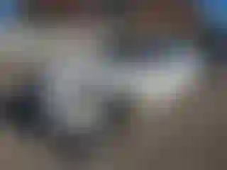 Vehicle Image- 2011 Jaguar XJ