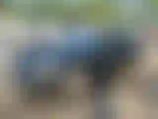 IMPORTOWO.pl