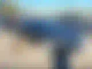 Vehicle Image- 2016 Jaguar XJ