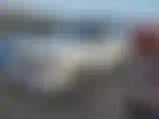 Vehicle Image- 2016 Land Rover LR4