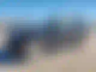 Vehicle Image- 2020 Land Rover Discovery